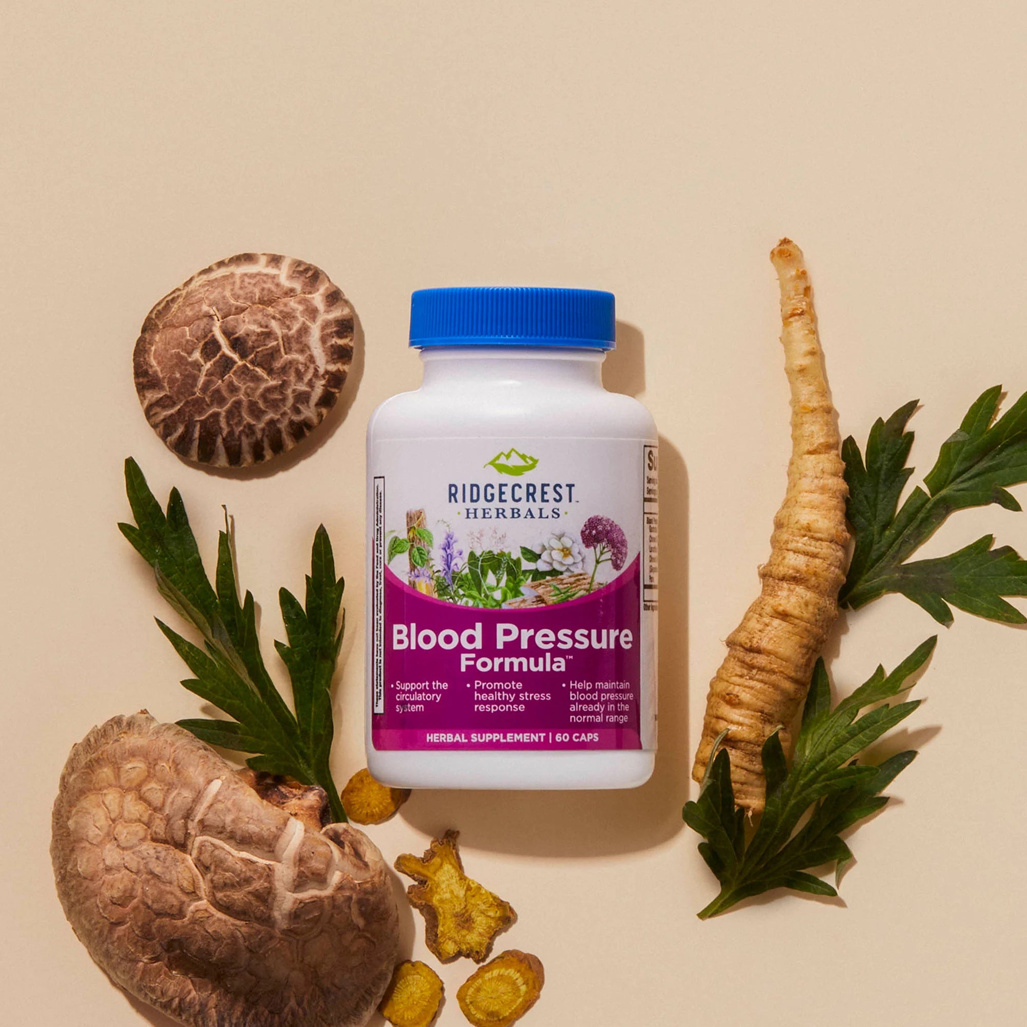 Blood Pressure Formula supplement on a cream background surrounded by herbal ingredients.