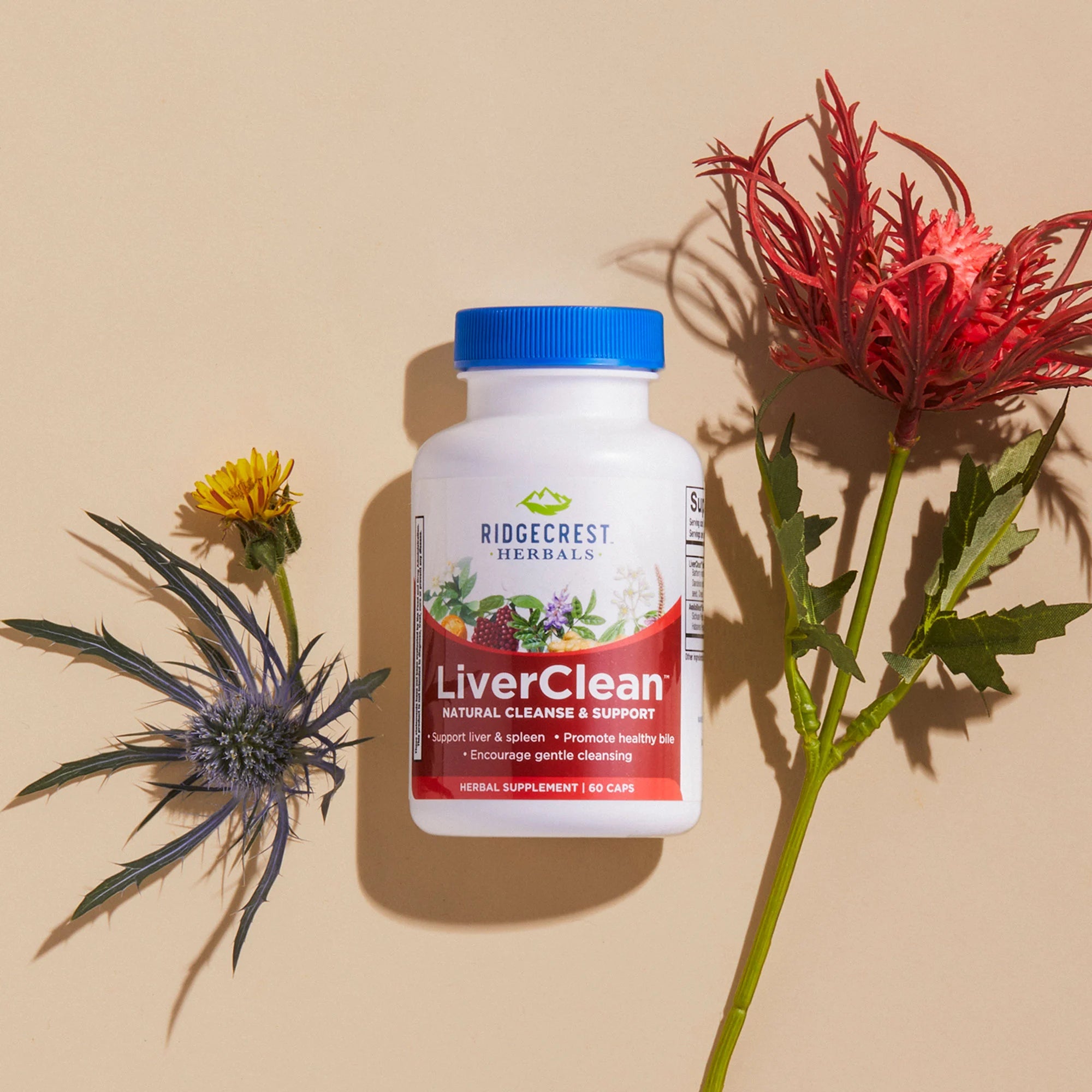 LiverClean supplement on cream background with dandelion and blessed thistle.